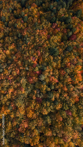 Herbstfarben