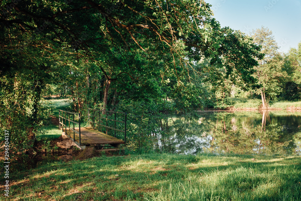 un pont de bois dans les bois. Un petit pont de bois enjambant une rivière dans une forêt. Un petit pont de bois vers un étang.