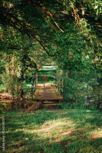 un pont de bois dans les bois. Un petit pont de bois enjambant une rivière dans une forêt. Un petit pont de bois vers un étang.