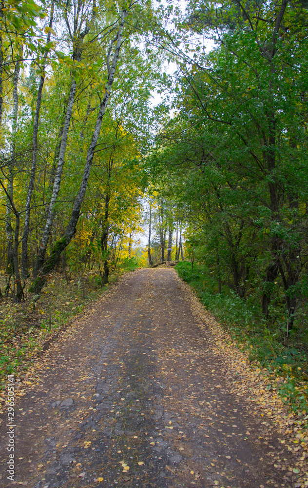 Autumn texture. Road with autumn yellow foliage. Autumn texture. Road with autumn yellow foliage.