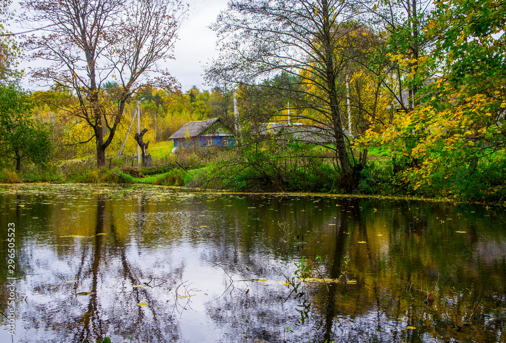 Autumn pond with yellow fallen leaves on the water. Autumn pond with yellow fallen leaves on the water.