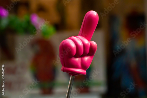 Bild auf Leinwand Rubber hand on a stick of a tourist guide