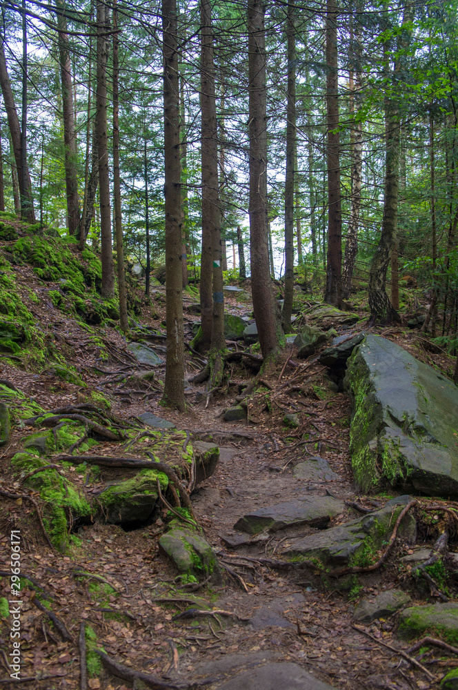 Obraz premium Scandinavian mountain nature with stones. Rocks in the forest with moss.