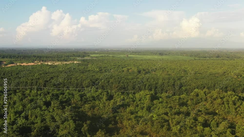 Aerial view over tropical forest Aerial view over tropical forest