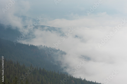 Charming autumn on mountain ranges in Ukrainian Carpathians with beautiful hiking landscapes