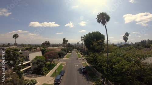 Glide Down West Hollywood Street through Palm Trees 4K photo