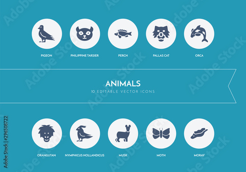 Photography 10 animals concept blue icons