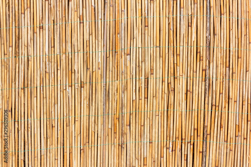 Wall of dry bamboo. Old brown texture for background 
