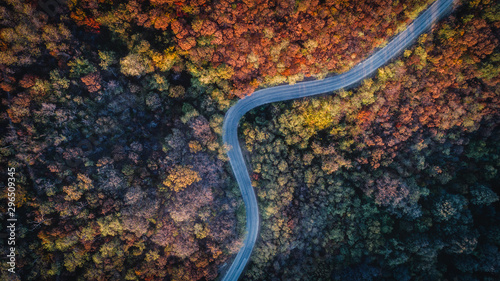 Overhead Aerial Shoot of road through colorful forest.Shoot From air.