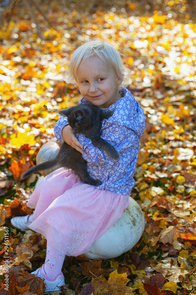 cute blond 3 year old girl is holding her little kitten cute blond 3 year old girl is holding her little kitten