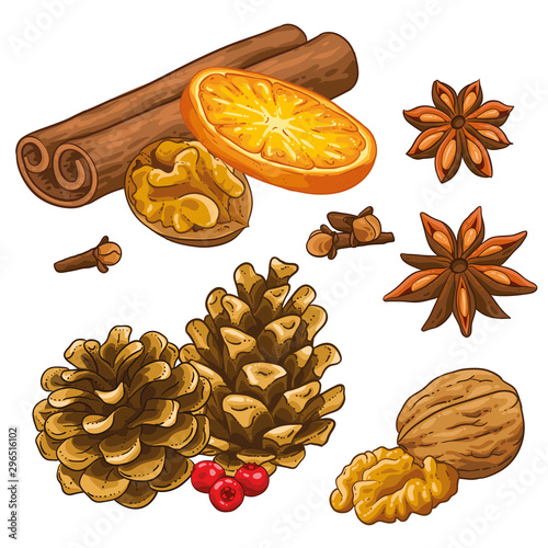 Christmas illustration hand draw vector. Star anise, pine cone, cinnamon, walnut, cloves, holy or berries and orange. Isolated od white background. Winter spices, hot drink.