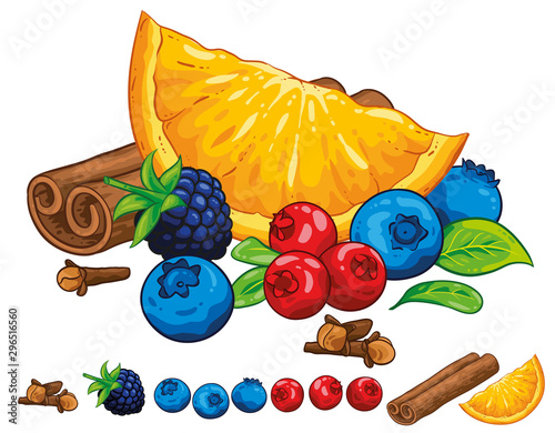 Illustration hand draw vector. Cranberry, blueberry, leaves, cranberry cinnamon rolls, cloves and orange. Isolated on white background. Winter spices.