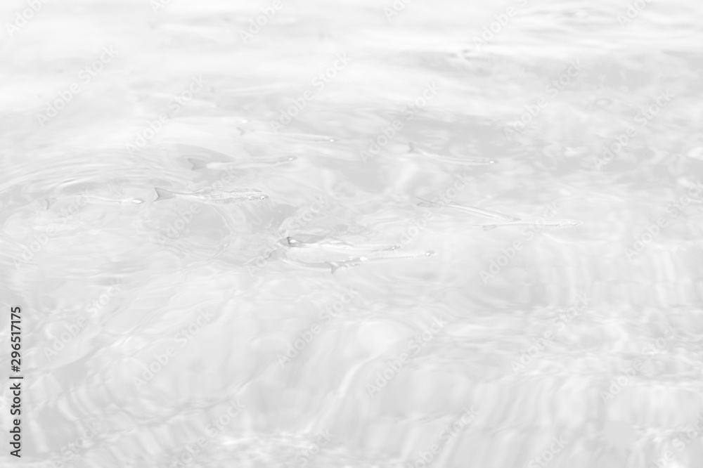 custom made wallpaper toronto digitalWater.