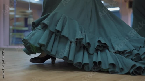 the girl dances flamenco, bata