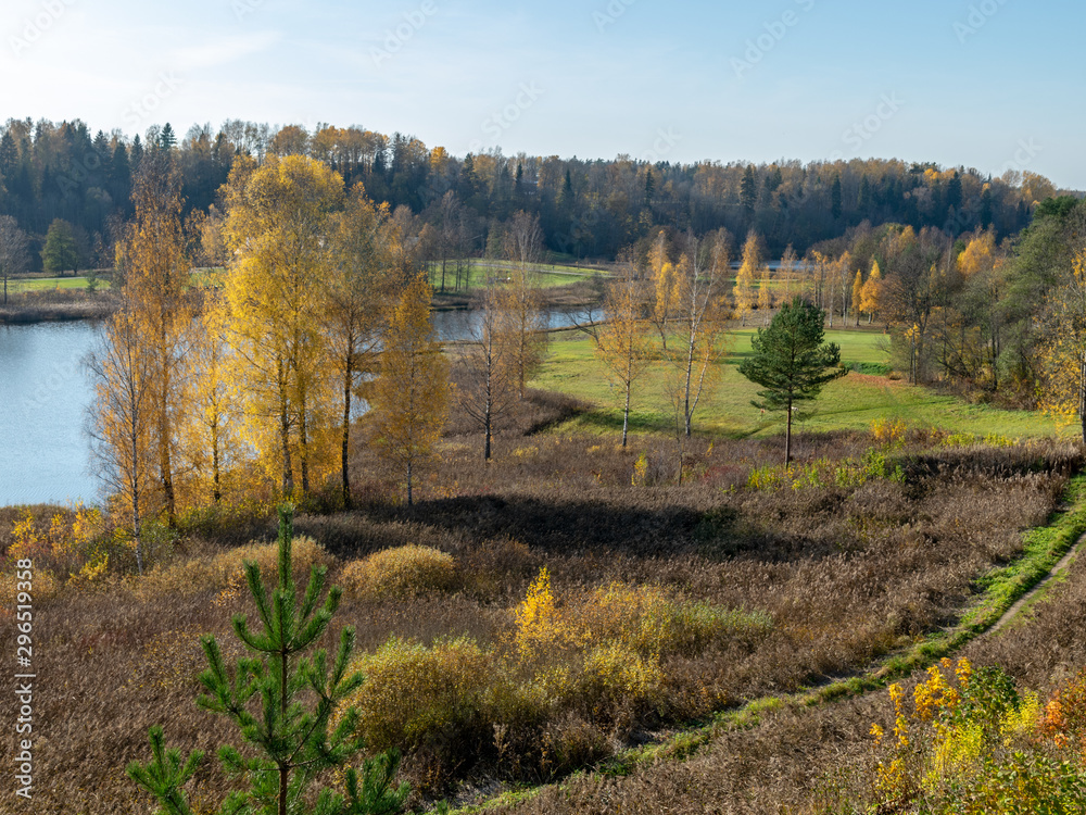 Autumn landscape with beautiful and colorful trees, beautiful long shadows, top view Autumn landscape with beautiful and colorful trees, beautiful long shadows, top view