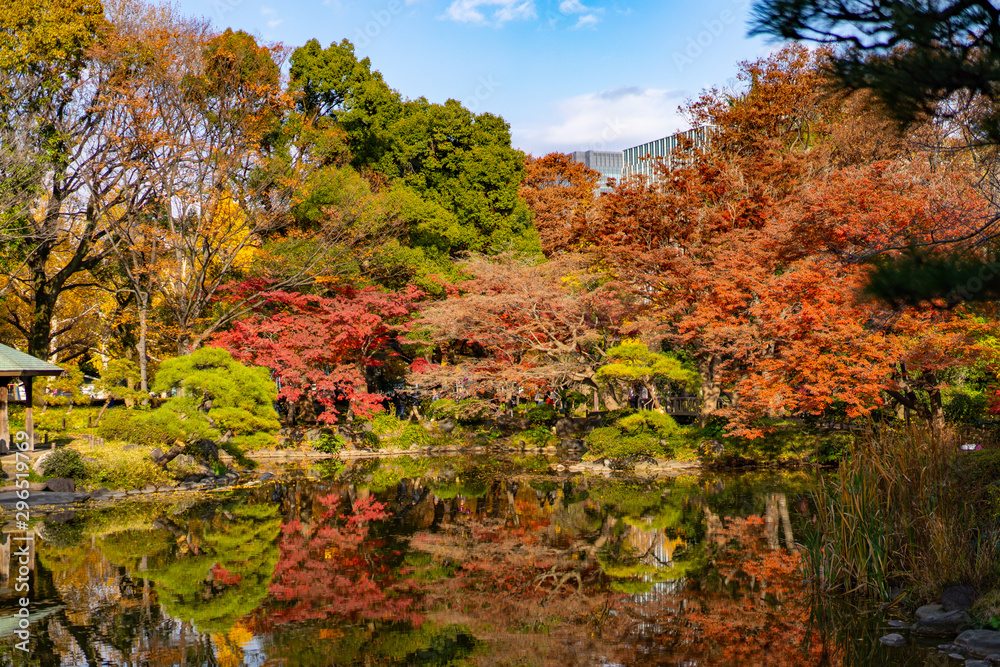 Obraz premium 日比谷公園の紅葉と池