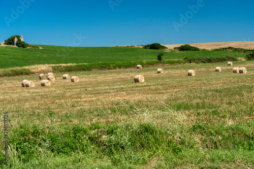 Rural landscape at summer near Bracciano  Rome