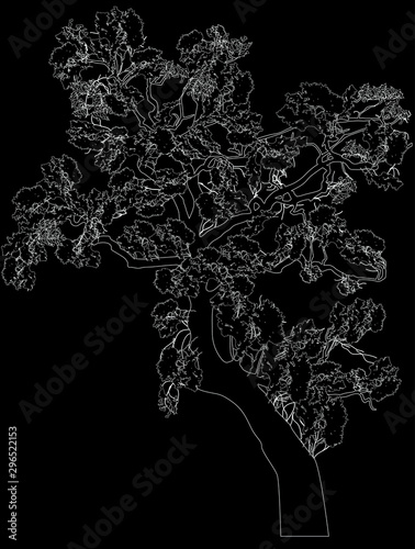 white lush tree outline on black