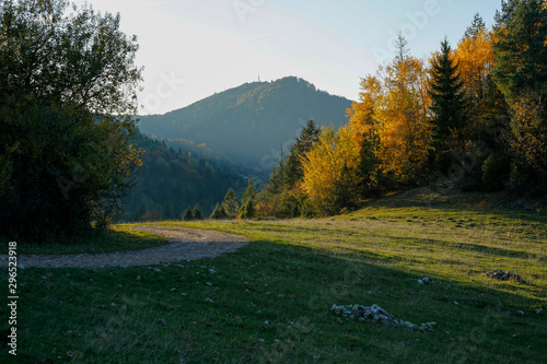 Fototapeta Naklejka Na Ścianę i Meble -  winding mountain path in Pieniny Mountains, Szczawnica, Poland