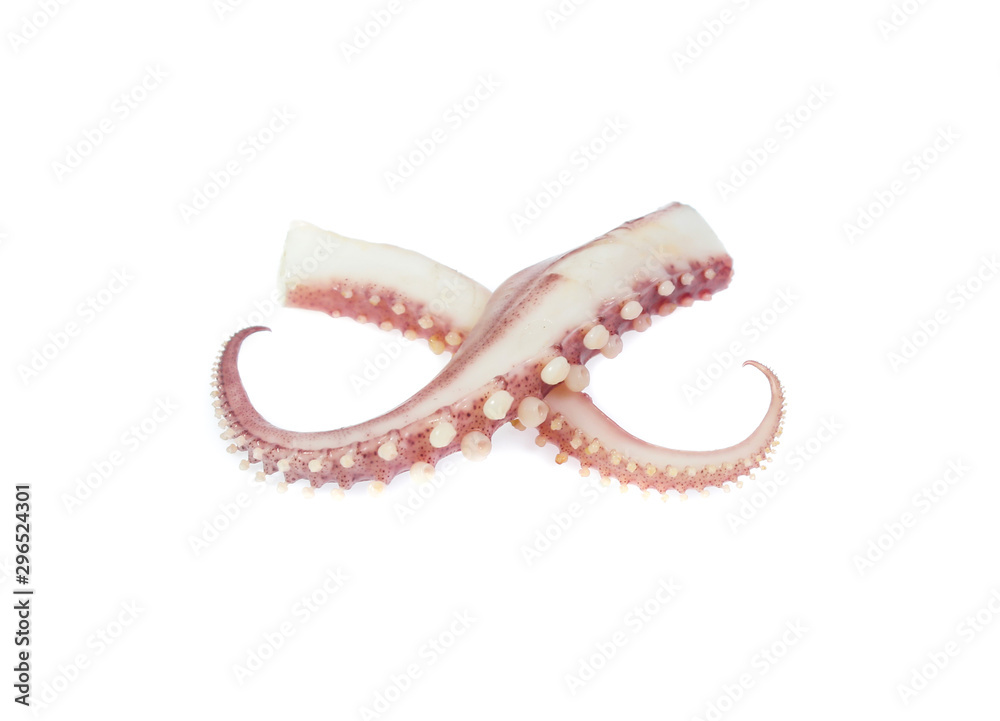 tentacles of octopus isolated on white background tentacles of octopus isolated on white background