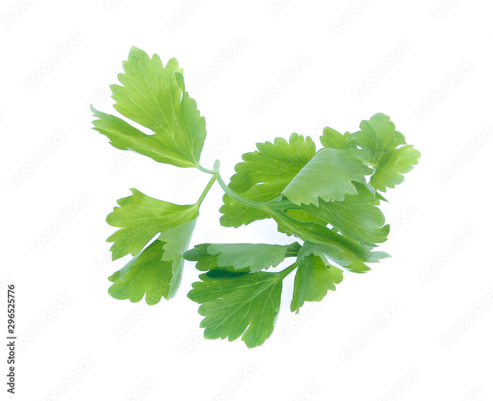 Celery isolated on a white background Celery isolated on a white background
