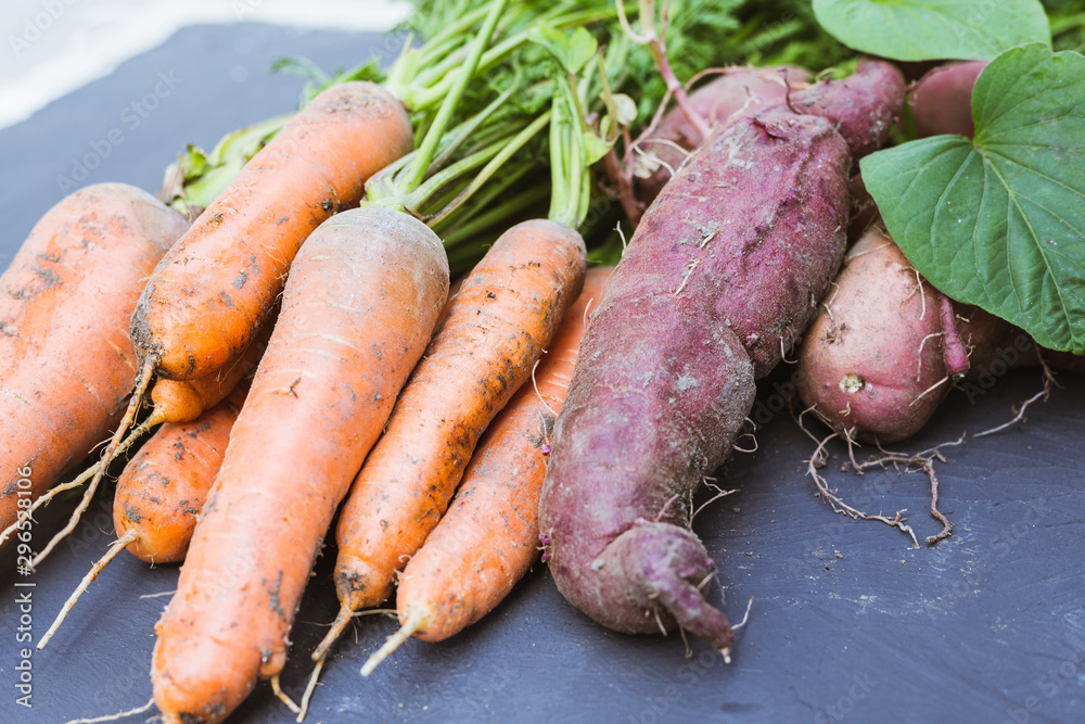 Fresh carrots and sweet potato on a black background Fresh carrots and sweet potato on a black background