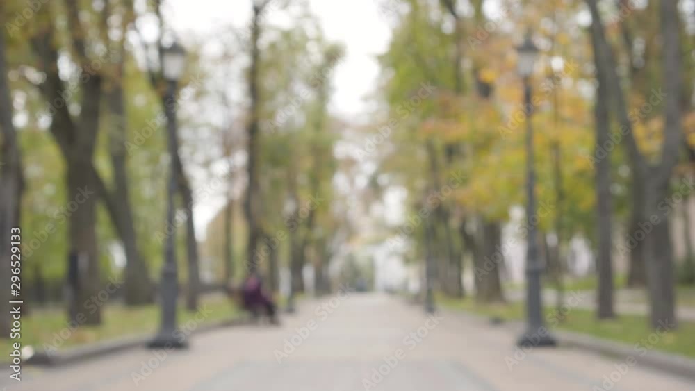 Close-up of confident young Caucasian girl at start position looking up and starting running. Attractive female runner training in the morning in the autumn park. Camera zooms in. Close-up of confident young Caucasian girl at start position looking up and starting running. Attractive female runner training in the morning in the autumn park. Camera zooms in.