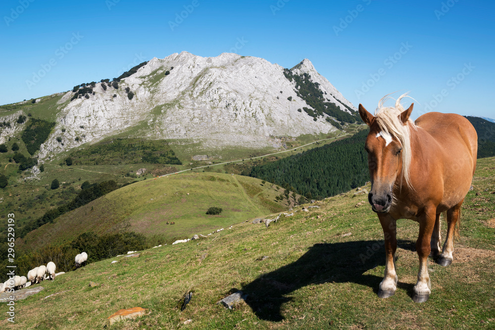 Vista del monte Amboto y un caballo salvaje en el Parque Natural de Urkiola, Vizcaya, País Vasco, España