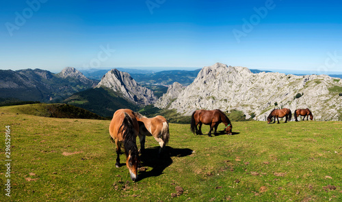 Vista panorámica con caballos salvajes desde la cima de la montaña en el Parque Natural de Urkiola, Vizcaya, País Vasco, España photo