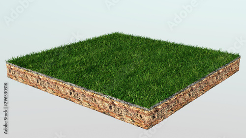 3D grass