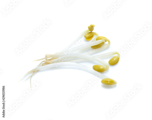 Bean Sprouts  isolated on White Background