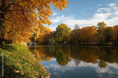 lake with autumn trees in park 