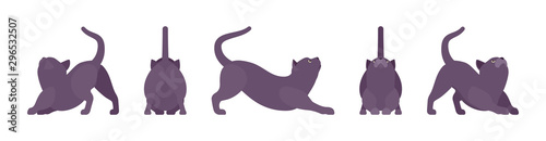 Black Cat stretching. Active healthy kitten with dark, gray colored fur, cute funny pet, mystic bad luck omen. Vector flat style cartoon illustration isolated on white background, different views