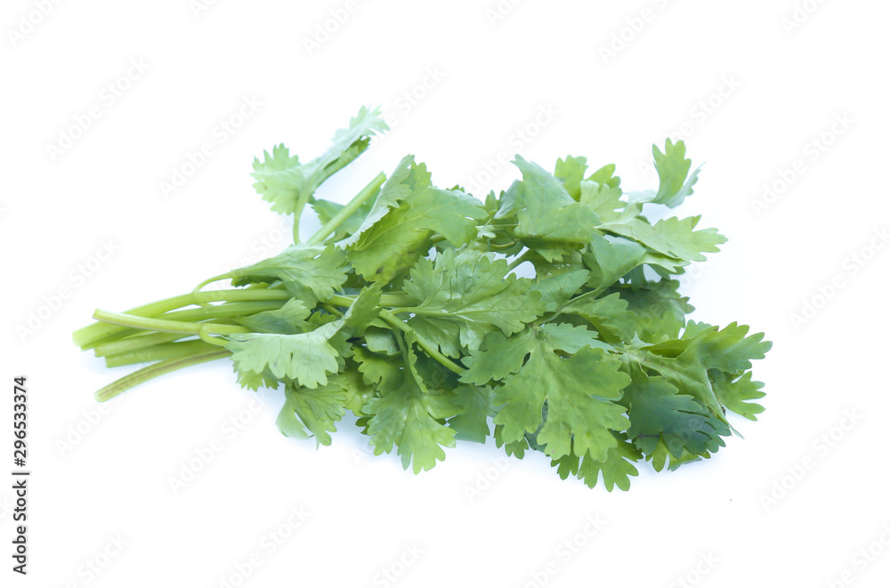 Bunch of fresh coriander leaves over white background Bunch of fresh coriander leaves over white background