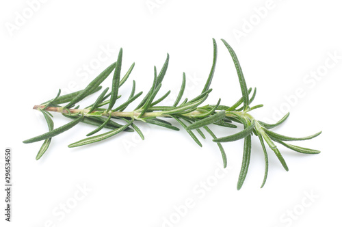 rosemary isolated on white background