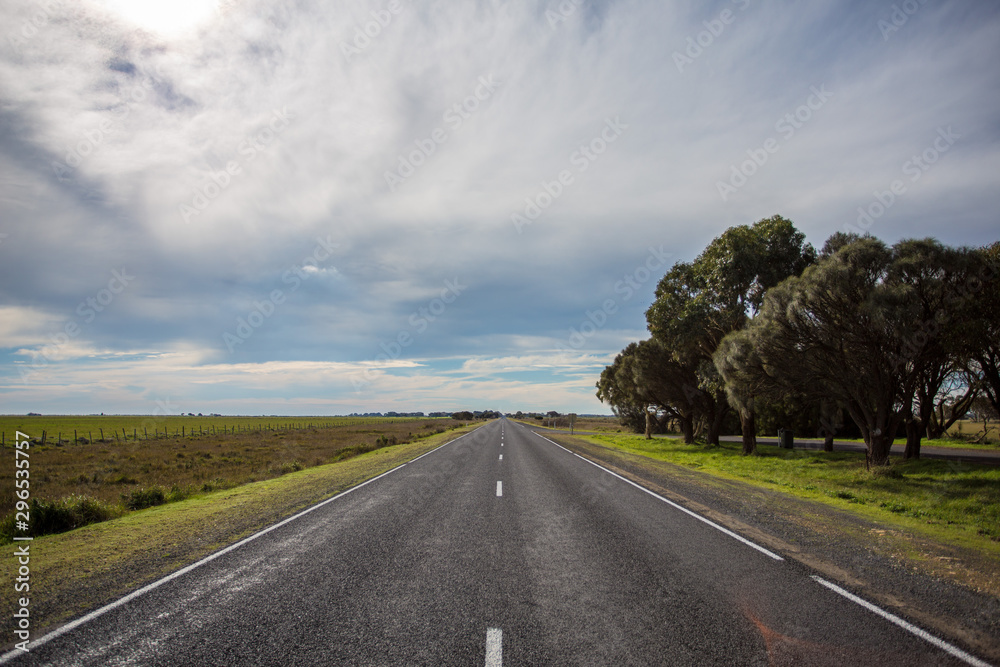 Fototapeta premium Landstraße neben Bäumen und Gras