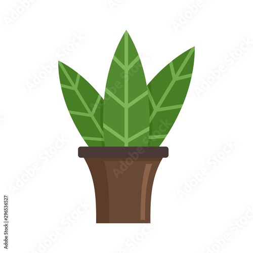 Big leaf houseplant icon. Flat illustration of big leaf houseplant vector icon for web design