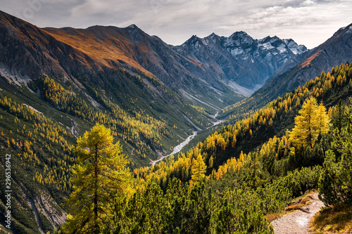 wild, untamed river and larches in Val Cluozza in Swiss National Park