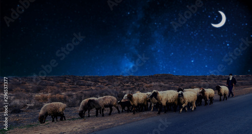 a shepherd grazing sheep at night under the new moon (crescent) in a desert at the roadside. Image depicting Ramadan concept.