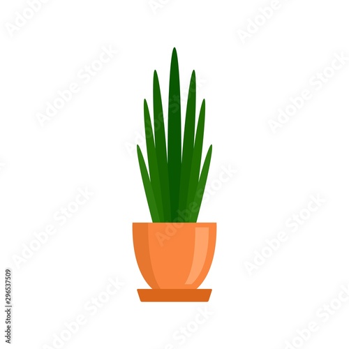 Long high leaf houseplant icon. Flat illustration of long high leaf houseplant vector icon for web design