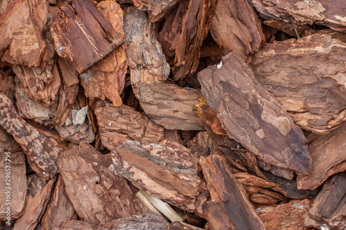 Tree bark slivers natural wooden background wallpaper backdrop. Brown natural pieces of dry deciduous tree