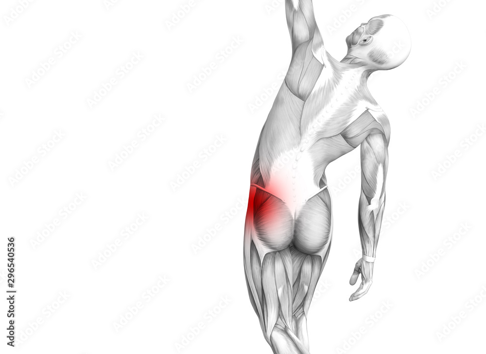 Conceptual hip human anatomy with red hot spot inflammation articular joint pain for leg health care therapy or sport muscle concepts. 3D illustration man arthritis or bone sore osteoporosis disease Conceptual hip human anatomy with red hot spot inflammation articular joint pain for leg health care therapy or sport muscle concepts. 3D illustration man arthritis or bone sore osteoporosis disease
