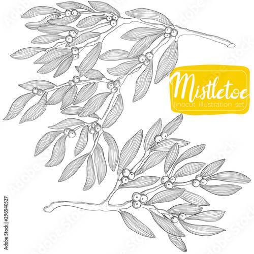 Mistletoe twig hand draw linocut vector illustration Christmas collection. Ilex branch art X-mas set in outline styles.  Holly berry collection in line art style
