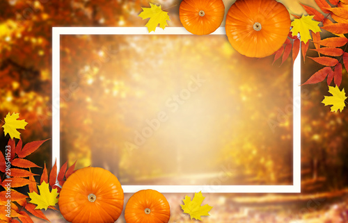 Fototapeta Naklejka Na Ścianę i Meble -  Thanksgiving day autumn festive card with pumpkins, fall autumnal leaves and white photo frame on background of blurred trees in park, empty place for your text