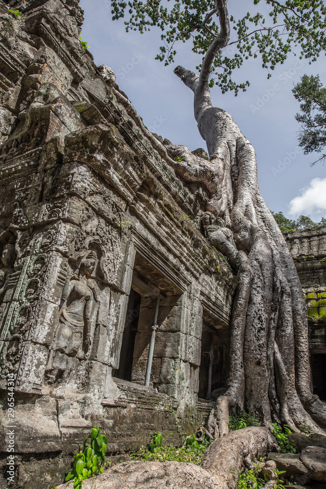 Angkor Wat, Siem Reap / Cambodia »; August 2017: Ta Prohm temple of Angkor Wat seen from below winged statues