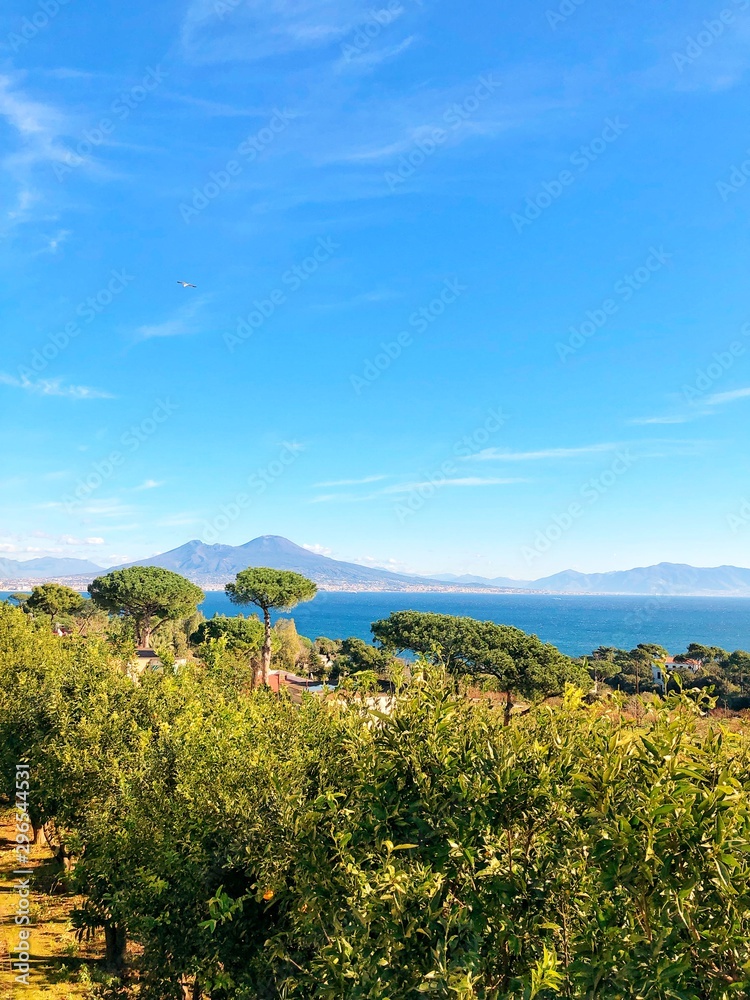 Naples Naples