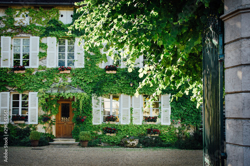 Une maison bourgeoise en France. Un manoir couvert de lierre. De la vigne sur la façade d'une belle demeure. © david