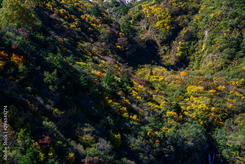 駒草平展望台からの眺め