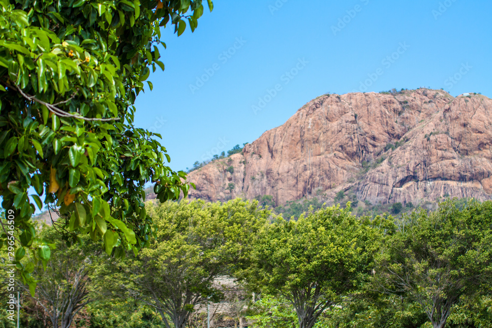 Roter Felsen und Bäume