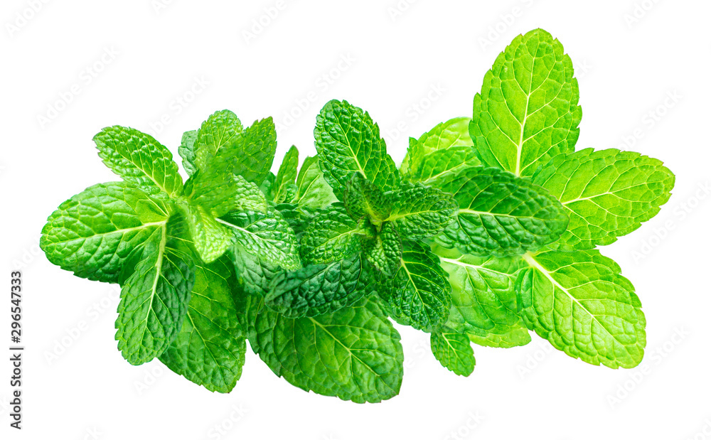 Peppermint Isolated. Fresh mint leaves ia a row on white background, top view. Close up - obrazy, fototapety, plakaty 